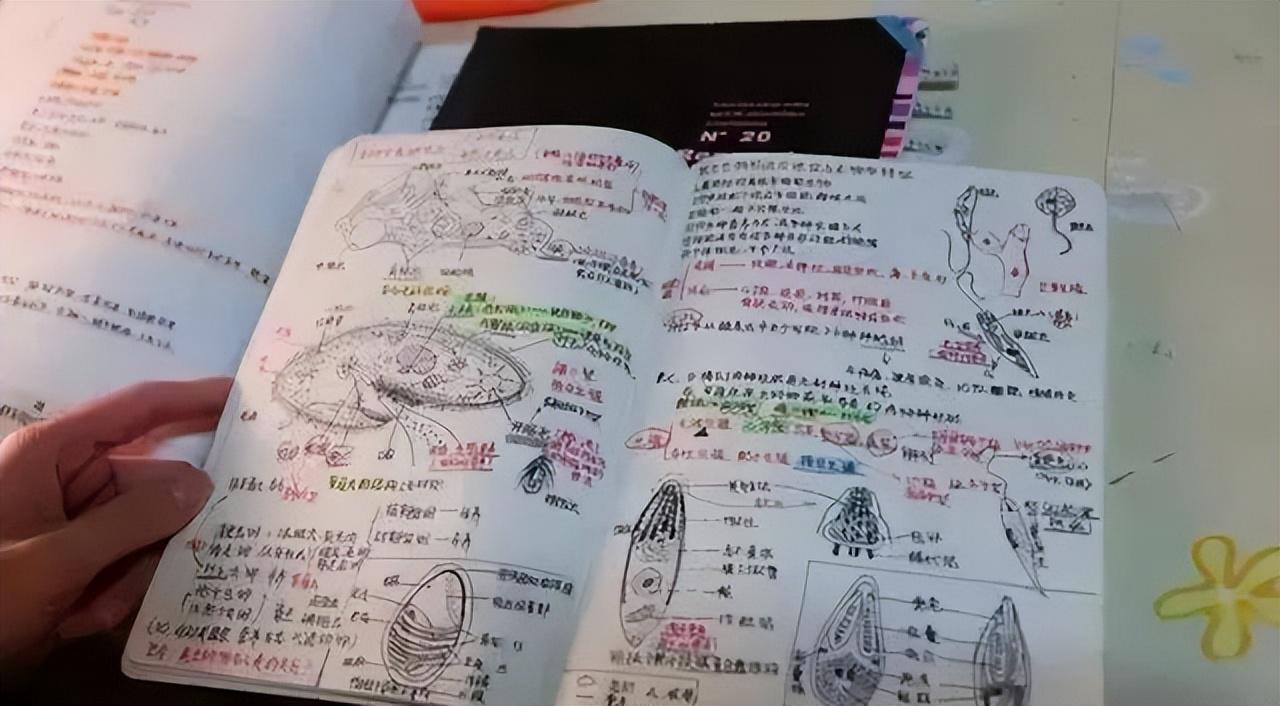 Shams：开拓者主帅候选人为诺里&拉什布鲁克