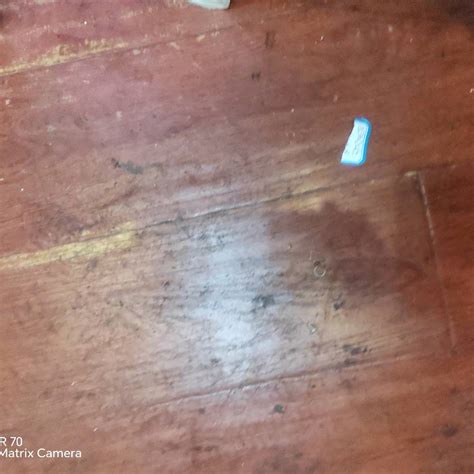 pg电子官网 可持续材料运动装备